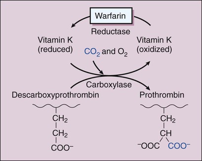 warfarin mechanism of action