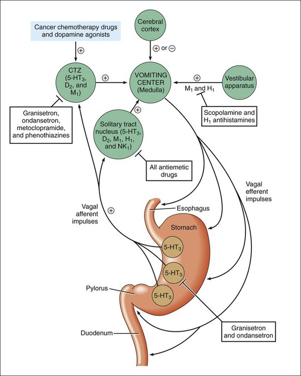 Drugs For Gastrointestinal Tract Disorders | Basicmedical Key