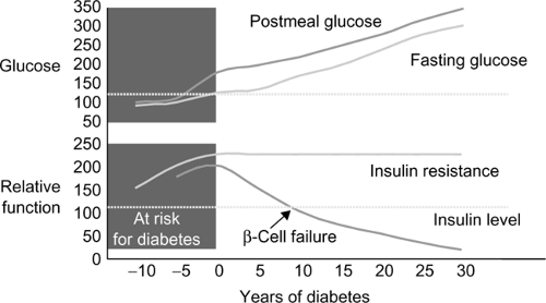 Endocrinology, Metabolism, and Diabetes | Basicmedical Key