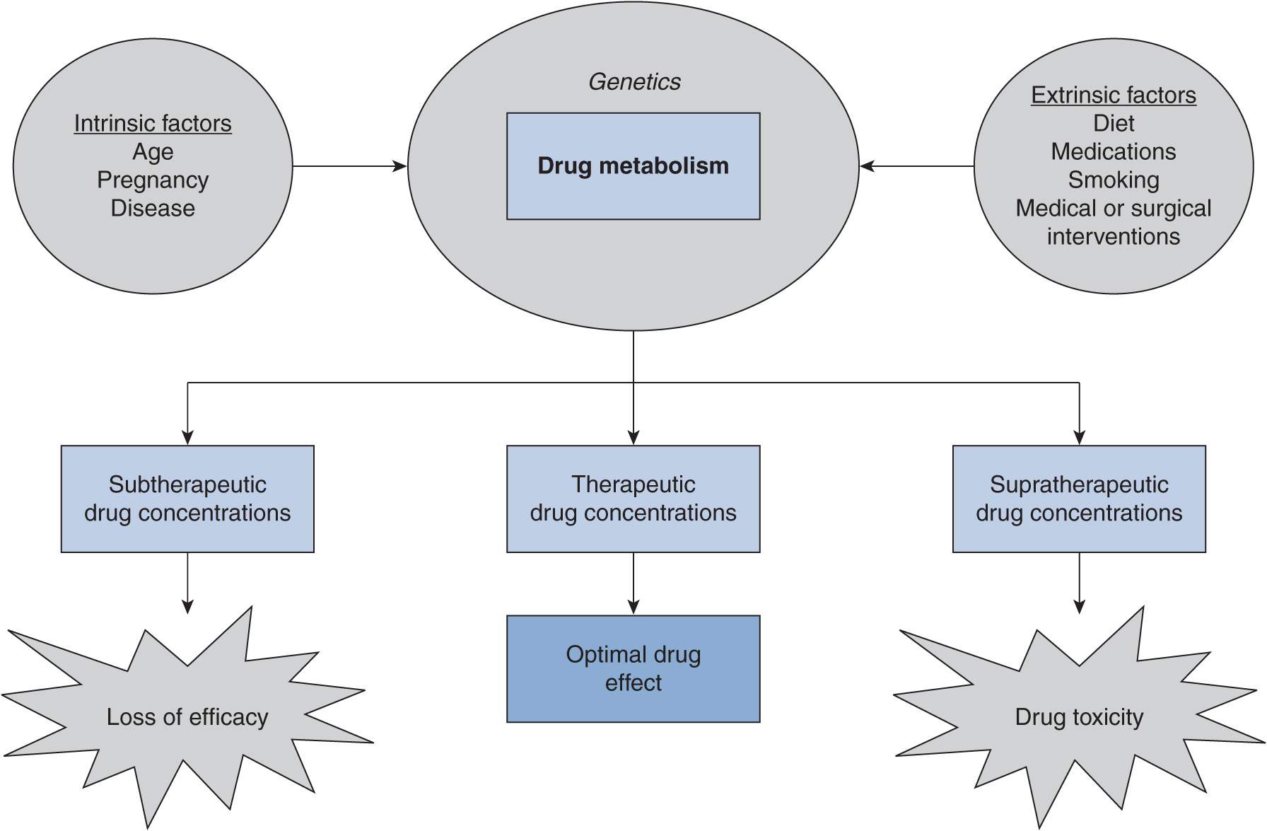 how diet influences the action of medication