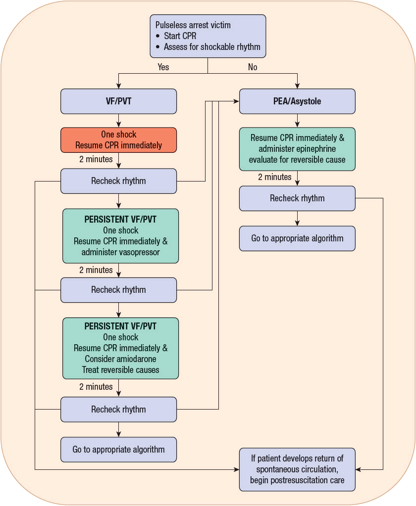 Cardiac Arrest Basicmedical Key