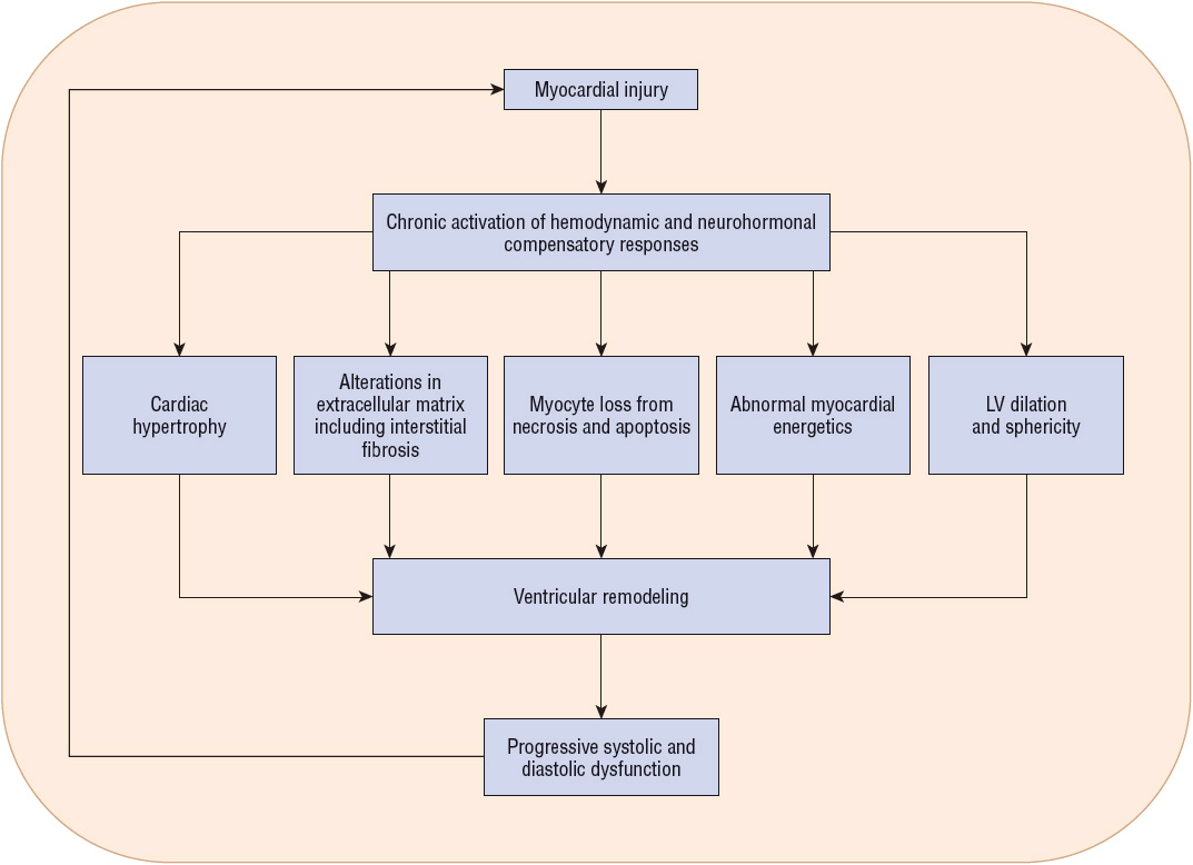 Progressive myocardial injury/left ventricular dysfunction and