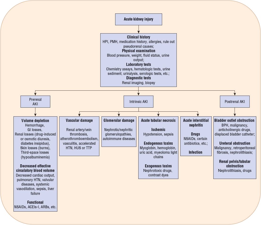 acute-kidney-injury-patient-information-leaflet-best-games-walkthrough