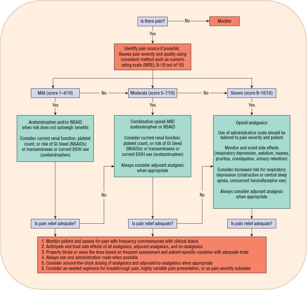 Pain Management Basicmedical Key