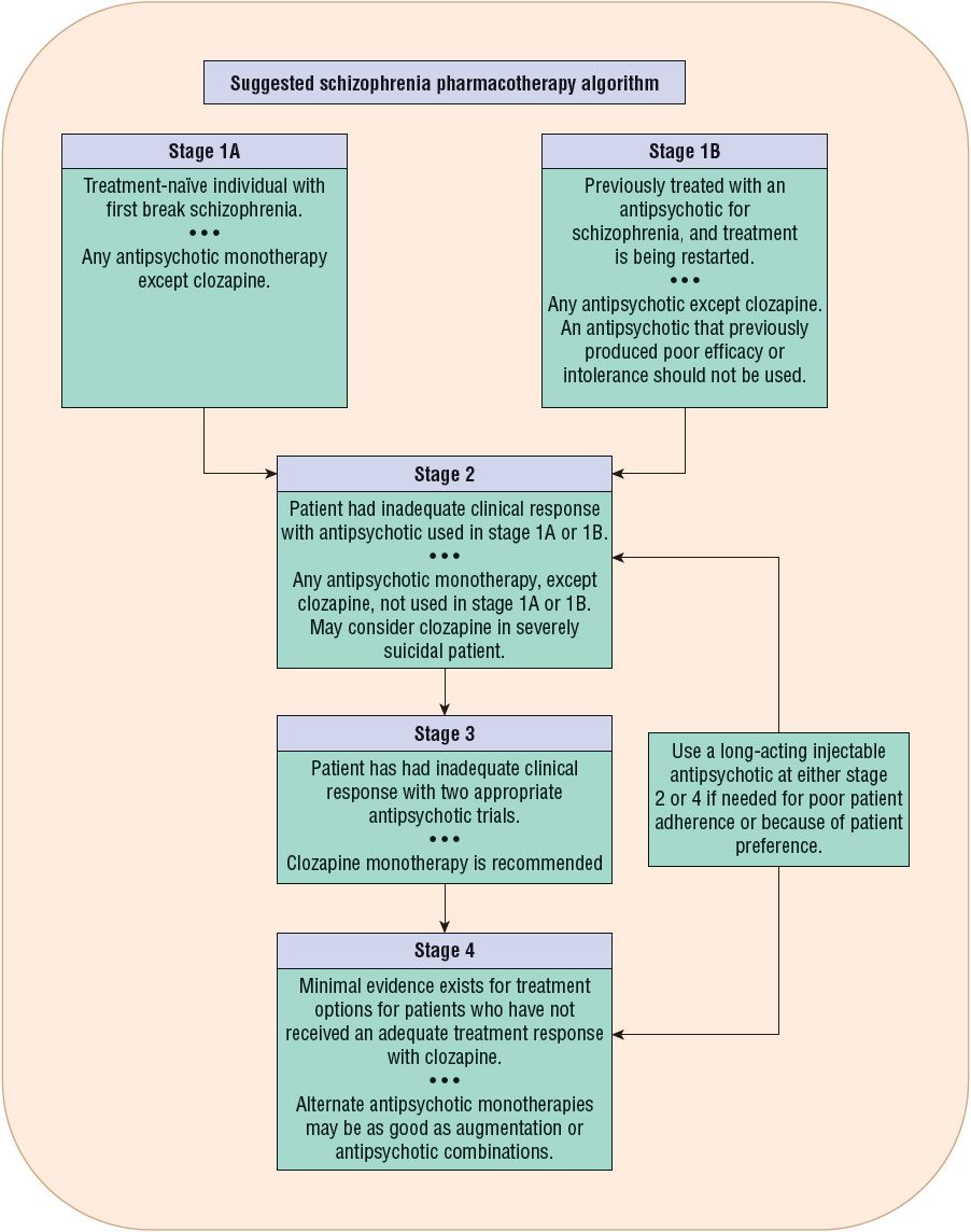 Schizophrenia Basicmedical Key