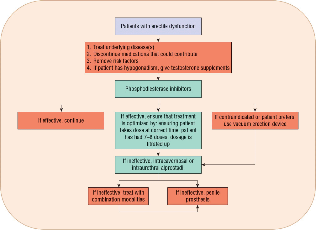 Erectile Dysfunction Basicmedical Key