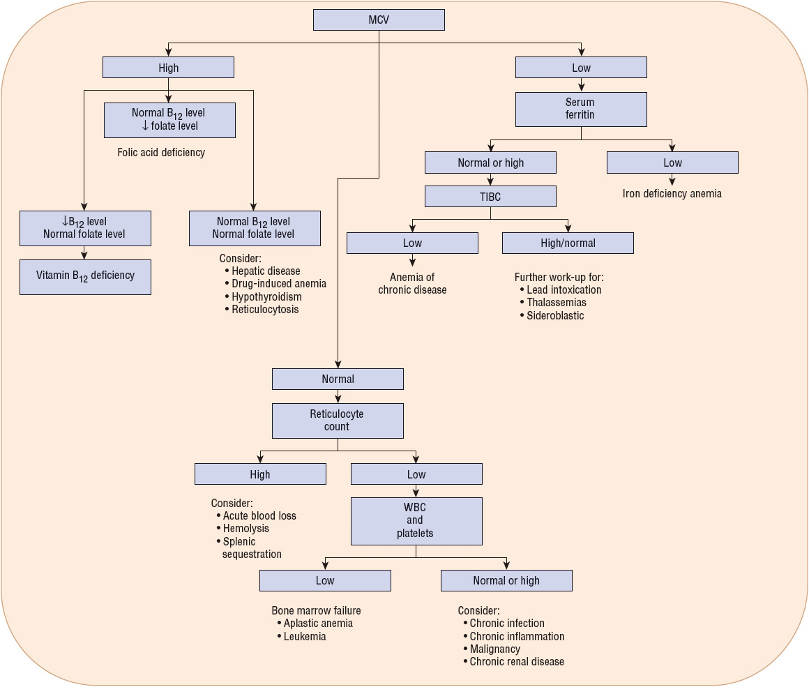 anemias-basicmedical-key