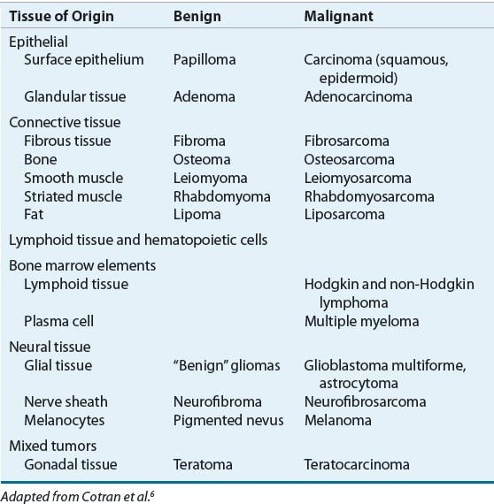 Cancer Treatment and Chemotherapy | Basicmedical Key