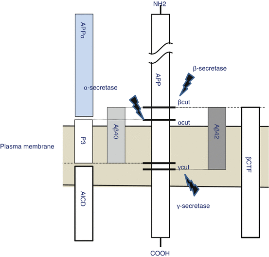 A319716_1_En_1_Fig7_HTML.gif