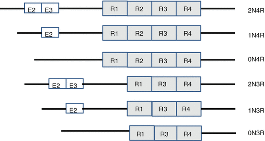 A319716_1_En_1_Fig9_HTML.gif