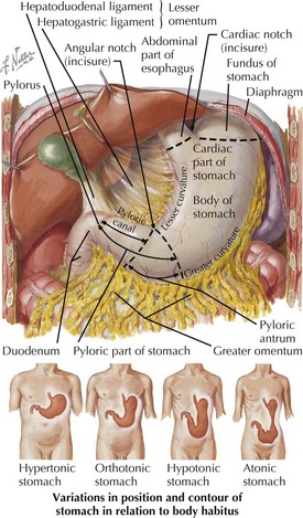 a duodenum neuroendokrin rákja