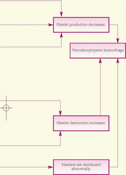 Hematologic System | Basicmedical Key