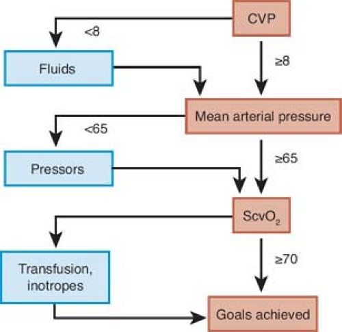 The Multiple Organ Dysfunction Syndrome: Prevention And Clinical ...