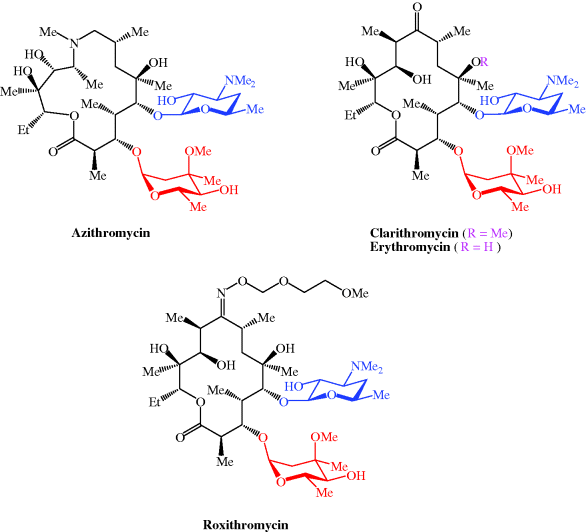 Macrolide Antibiotics Basicmedical Key