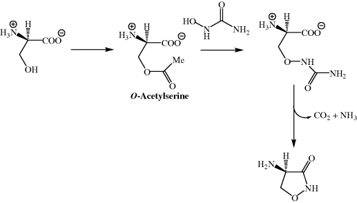 Cycloserine Basicmedical Key