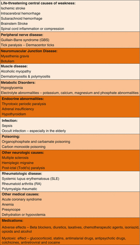 Drugs And The Neuromuscular System | Basicmedical Key