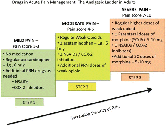 Drugs For The Management Of Pain Basicmedical Key