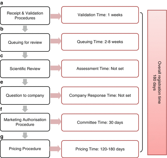 The Regulatory Review Process in the Gulf Region | Basicmedical Key