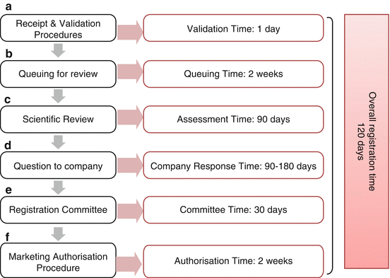 The Regulatory Review Process in the Gulf Region | Basicmedical Key