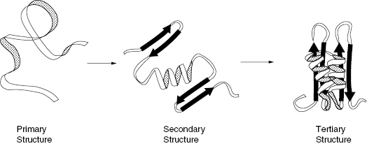 c1-fig-0003