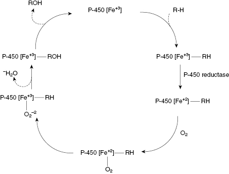 c10-fig-0009