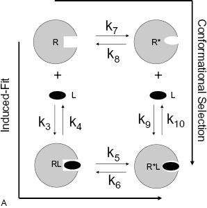 c8-fig-0003a