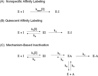 c9-fig-0002