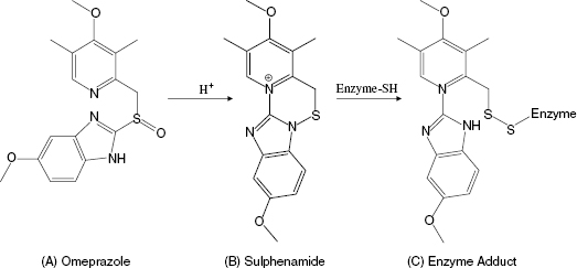 c9-fig-0005