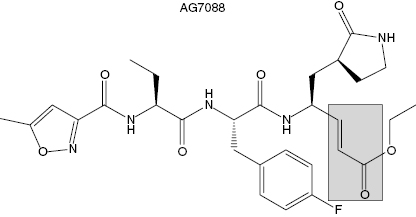 c9-fig-0007