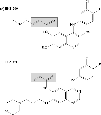 c9-fig-0008