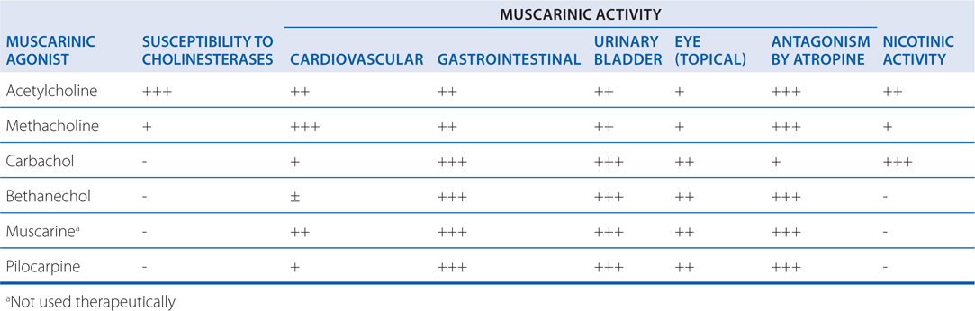 Cholinergic Pharmacology | Basicmedical Key