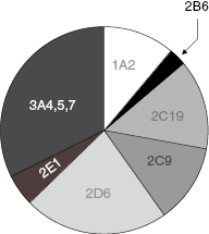 web_c10-fig-0008