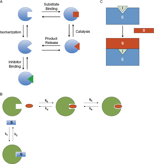 web_c3-fig-0014