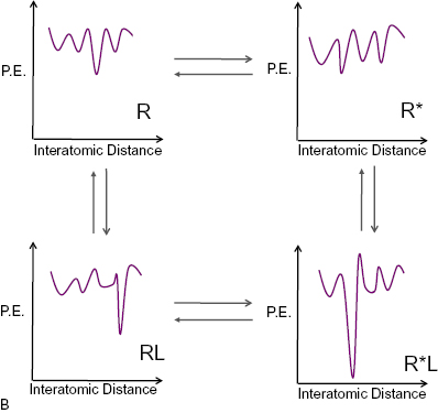 web_c8-fig-0003b