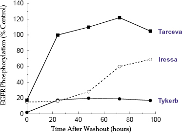 web_c8-fig-0006