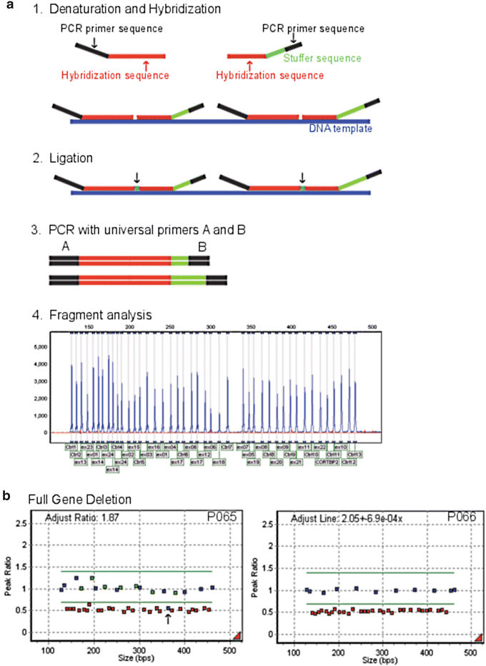 A78412_2_En_2_Fig5_HTML.gif