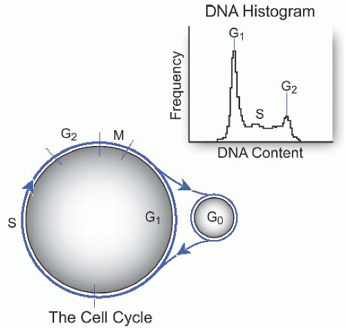 Cytogenetics | Basicmedical Key