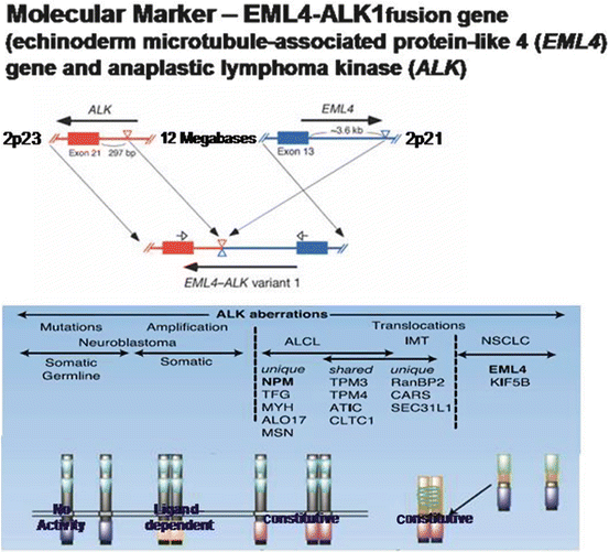 A215477_1_En_4_Fig5_HTML.gif