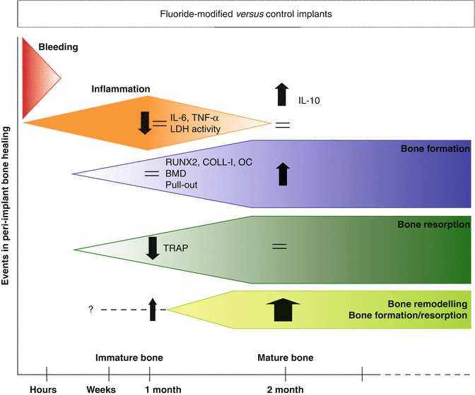 A313847_1_En_6_Fig3_HTML.gif