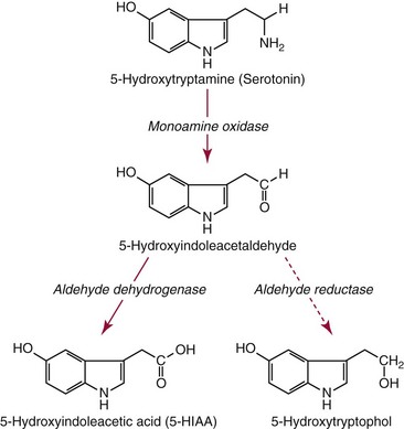 serotonin metabolism