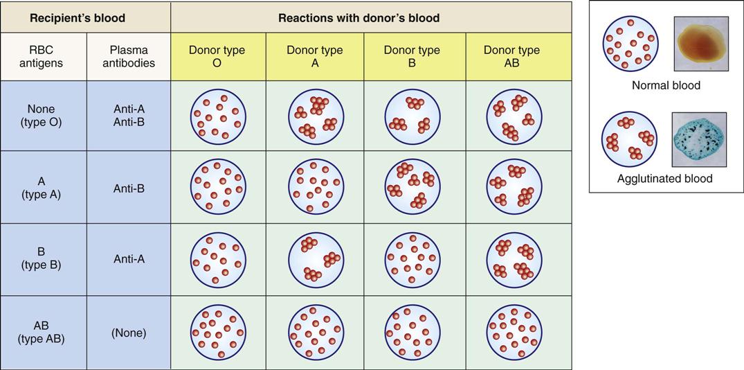 Functions of blood: clotting - NHS Blood Donation