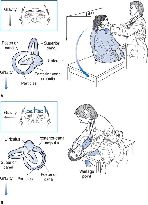 Otolaryngology | Basicmedical Key