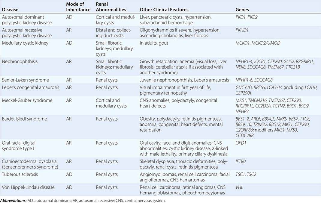 Tubulointerstitial Diseases Of The Kidney Basicmedical Key