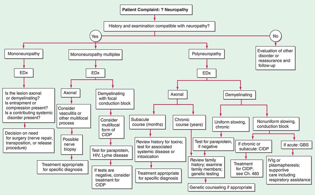 Peripheral Neuropathy Basicmedical Key