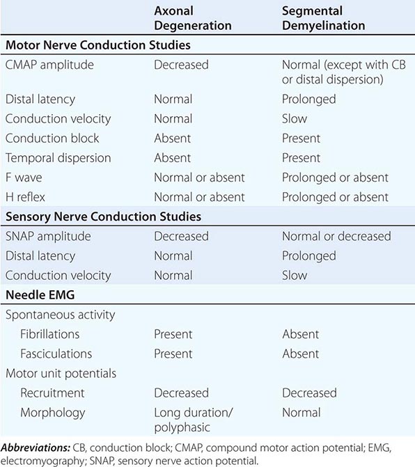 pain fiber nerve conduction study