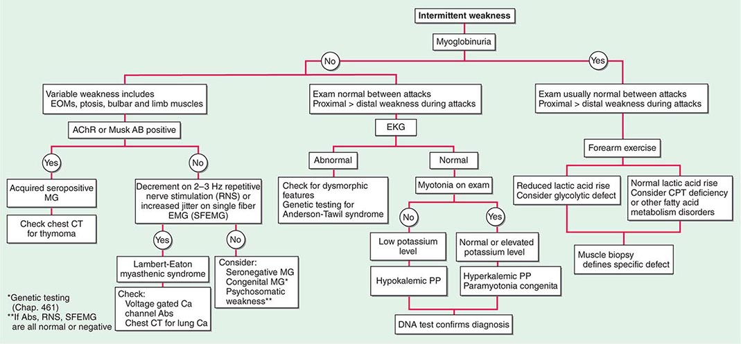 Mental Disorders Basicmedical Key