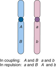 Basis for Linkage Analysis and Association | Basicmedical Key