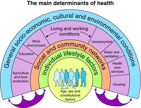 Dahlgren And Whitehead Model Models Of Mental Health VOUK