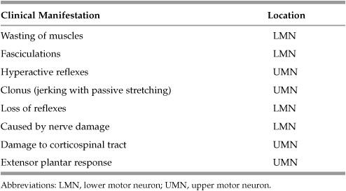 NEUROPATHOLOGY | Basicmedical Key