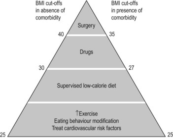 Obesity | Basicmedical Key